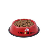 RENKli Metal Mama Kabı, Kedi Köpek Mama Su Kabı 20 cm (Kırmızı)