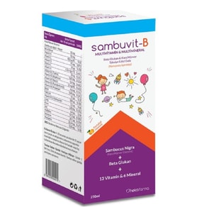 Sambuvit-B Multivitamin & Multimineral Şurup 250 ml