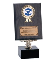 ODAK KUPA - Ahşap Plaketler - PL-006 B - 15x20 cm