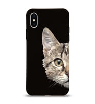 Apple iPhone XS Uyumlu Lansman Kılıf Catface Tasarımlı Altı Kapalı İçi Kadife Kaplı Silikon Kapak (Şeffaf)