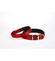Dokuma Köpek Boyun Tasması 45-52 cm Kırmızı