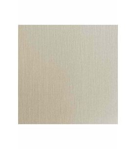 ANKAWALL ANKAPRO DUVAR KAĞIDI 2512-4 (16,5m2)
