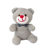 Sevimli Peluş Ayıcık