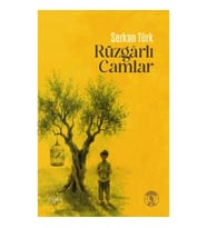 Rüzgarlı  Camlar