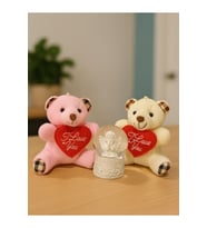 Sevgiliye Eşe Özel Günlere Hediye 2 Adet Sevimli Mini Peluş Ayıcık ve Mini Melek Kar Küresi Set (Çok Renkli)