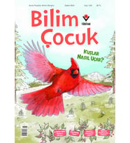 Bilim Çocuk Dergi Şubat 2025 (7-12 yaş) (STD)