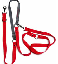Amaçlı Hands Free Köpek Gezdirme ve Eğitim Kayışı, Çift Kancalı, 5 Farklı Kullanım