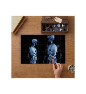 Anatomi - İnsan Vücudu - İskeletler Tasarımı 240 parça Ahşap Puzzle Ahşap Kutuda MP06457