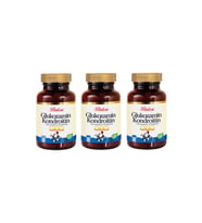 Balen Glukozamn Kondroitin MSM 970 MG 120 Kapsül 3 Adet