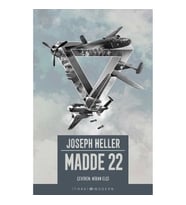 Madde 22