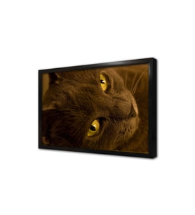 Kedi Çerçeveli Mdf Tablo