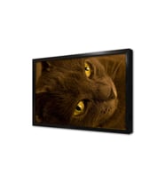 Kedi Çerçeveli Mdf Tablo