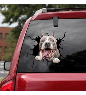 Araba Arka Cam Pitbull Sticker Yapıştırma 17cm A2