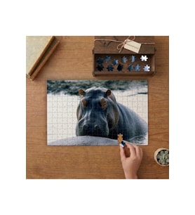 Suaygırı Tasarımı 240 parça Ahşap Puzzle Ahşap Kutuda MP04999