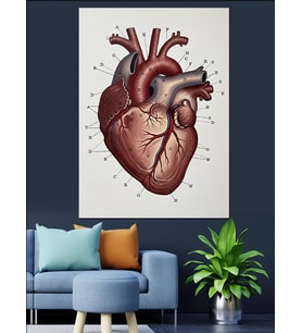 Kalp Anatomik Detaylı Sanat Dekoratif Kanvas - Mdf Ahşap Tablo