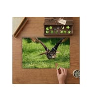 Uçan Baykuş - Tırtıcı Kuş Tasarımı 240 parça Ahşap Puzzle Ahşap Kutuda MP05234
