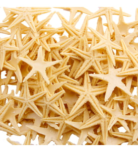 Polyester Deniz Yıldızı Minik Boy  0.5 CM- 1.5 CM (100 Adet)  Natural