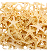 Polyester Deniz Yıldızı Minik Boy  0.5 CM- 1.5 CM (100 Adet)  Natural