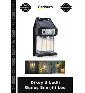 Özel Üretim Bahçe Aydınlatma Solar Dış Mekan Dekoratif Dikey 3 Ledli Güneş Enerjili Led