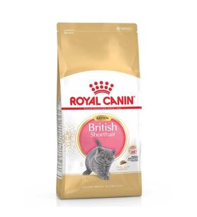 Royal Canin Kitten British Shorthair Yavru Kedi Mamasi 2kg
