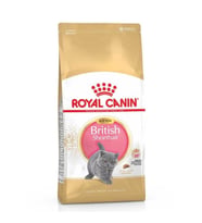 Royal Canin Kitten British Shorthair Yavru Kedi Mamasi 2kg
