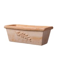 Cassetta Olive 50 cm Toprak Saksı Terracota