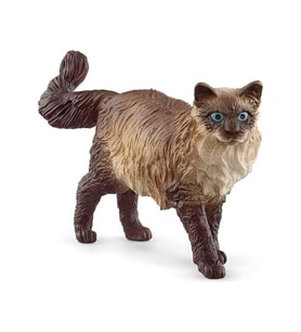 ToysAll Schleich Ragdoll Kedi 13940