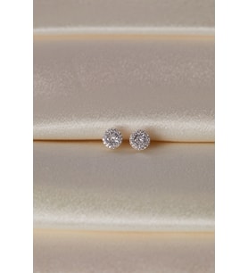 Elika Silver Kadın Zirkon Taşlı Tek Taş Model 925 Ayar Gümüş Küpe (Gümüş)