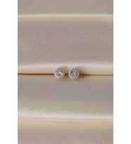 Elika Silver Kadın Zirkon Taşlı Tek Taş Model 925 Ayar Gümüş Küpe (Gümüş)