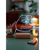Sad Frog 16 Renk Kumandalı 3D Gece Lambası