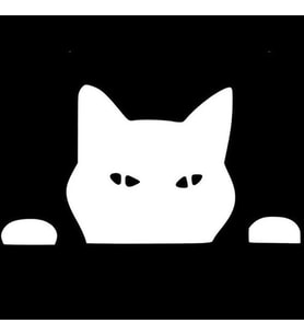 Kedi Komik Surat Araba Sitcker Yapıştırması 20CM Beyaz