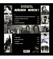 Hardal Nereden Nereye Renkli Plak, LP Vinyl