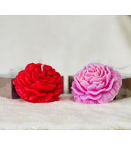 ŞAKAYIK MUM (Kırmızı-Pembe)