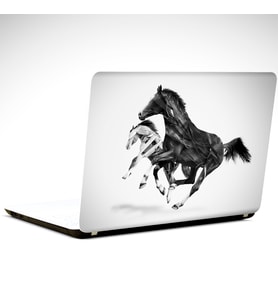 Atlar Laptop Sticker 12 İnch (29X24CM)