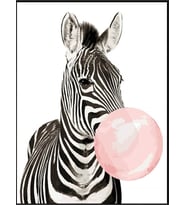 Sakız Çiğneyen Zebra Sayılarla Boyama Seti  40x 50 cm (Tuvale Gerili)