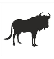 BUFALO FOLYO STİCKER 70cm Uzunluk (Karışık)