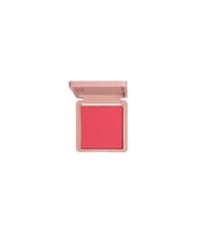Beyu Allnude Blusher 02