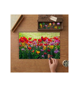 Renkli Hobi Bahçesi Tasarımı 240 parça Ahşap Puzzle Ahşap Kutuda MP08860