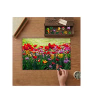 Renkli Hobi Bahçesi Tasarımı 240 parça Ahşap Puzzle Ahşap Kutuda MP08860