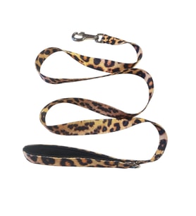 C&P Wild Leopard Köpek Gezdirme Kayışı 120 cm x 2,5 cm