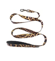 C&P Wild Leopard Köpek Gezdirme Kayışı 120 cm x 2,5 cm
