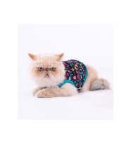 Pawstar Kedi ve KÜÇÜK Köpek T-Shirt Spots 2XL Sırt43cm Göğüs58cm Boyun38cm