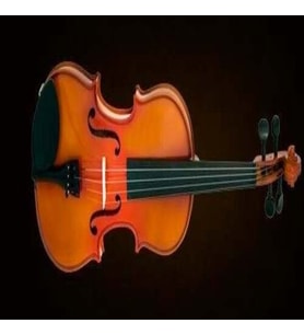 VALENCIA VA40040 VİYOLA KUTULU 16'' (40,64cm)