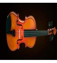 VALENCIA VA40040 VİYOLA KUTULU 16'' (40,64cm)
