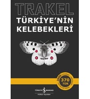 Trakel - Türkiye'nin Kelebekleri