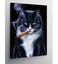 Kanvas Tablo Puro İçen Kedi