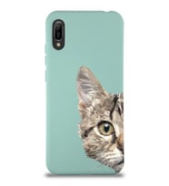 Huawei Y6 2019 Uyumlu Lansman Kılıf Catface Tasarımlı İçi Kadife Kapak-Turkuaz (Şeffaf)