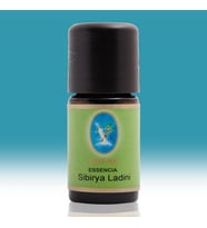 Nuka Sibirya Ladini Yağı 10 Ml Aromatik Cilt Bakım Ve Masaj Ladin