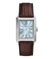 Fossil Ffs6110 Erkek Kol Saati