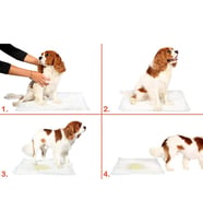 Grck 5 Li Köpek Tuvalet Eğitim Pedi  Kullan At Çiş Pedi  90 X 60 Cm Efsn